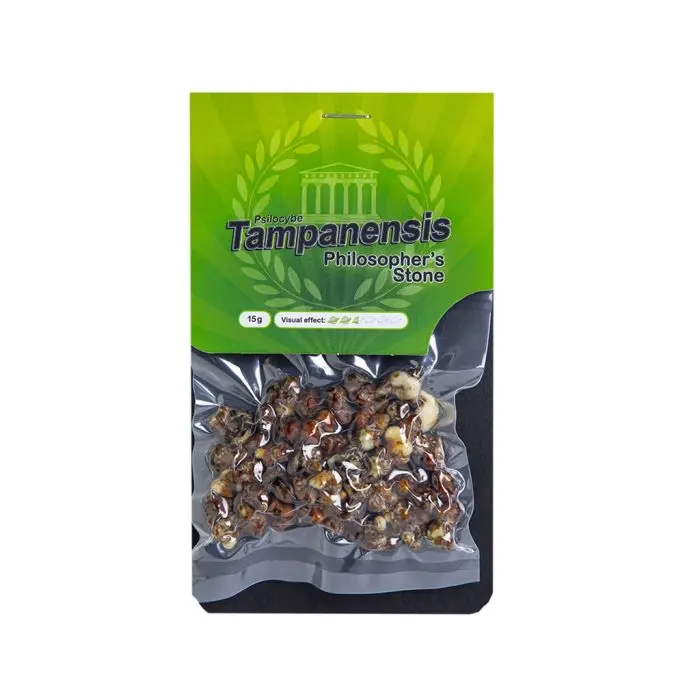 Fresh Magic Truffles Tampanensis – Philosopher’s Truffle
