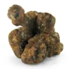 Buy Magic Truffles Utopia Online – Potent Psilocybin Experience