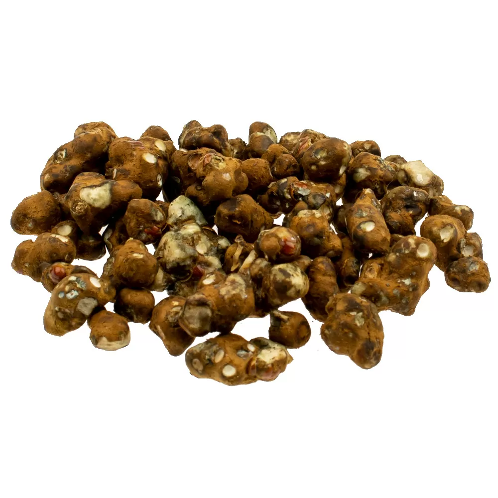 Close-up of Magic Truffles Mexicana – mild magic truffles